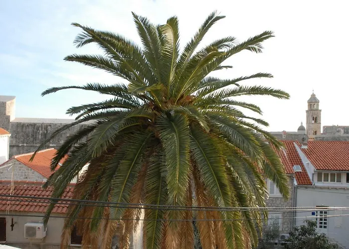Grgich דירה *