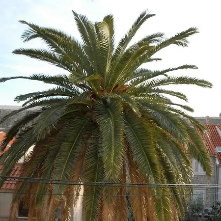 Grgich Apartment *